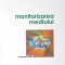 MONITORIZAREA MEDIULUI-DANIELA VASILIU-331758