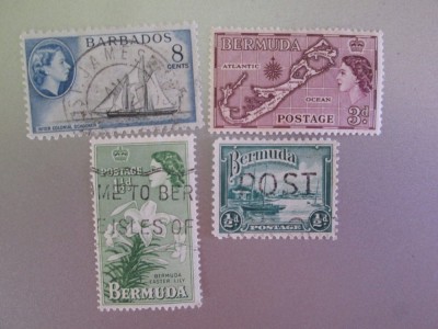 BERMUDA MIXT STAMPILAT=270 foto