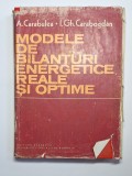 Modele de bilanțuri energetice reale și optime &ndash; A. Carabulea, I. Gh. Carabogdan, Ed. Academiei R.S.R., 1982