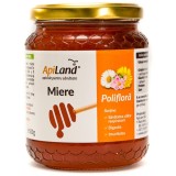 Miere Poliflora Cruda 500gr