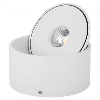 CORP LED SPOT COB 20W 3IN1 - ALB foto