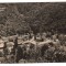 CPIB 21633 - CARTE POSTALA - BAILE HERCULANE, VEDERE GENERALA, RPR, NECIRCULATA