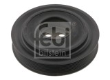 FEBI BILSTEIN 31212 Fulie curea, arbore cotit