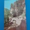 CPIB 23041 CARTE POSTALA - OLANESTI, IZVORUL NR.24, RPR, CIRCULATA, 1965, STAMPILE, TIMBRU