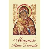 Minunile Maicii Domnului