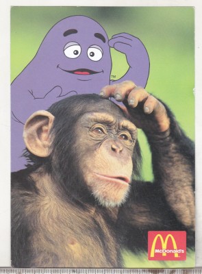 bnk cp Carte postala promotionala McDonalds - cimpanzeu - necirculata foto