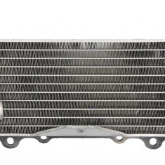 Radiator stanga Kawasaki KX 125 250 03- 06 RAD-137L