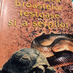 CRESTEREA BROASTELOR TESTOASE SI A SERPILOR IOAN BUD