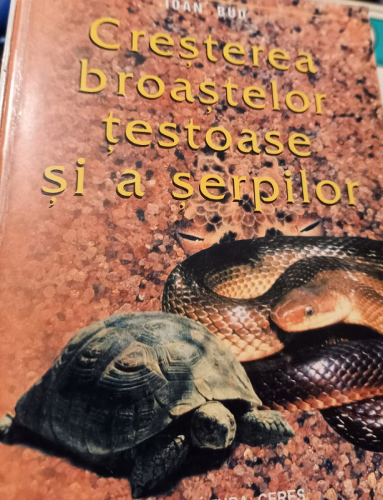 CRESTEREA BROASTELOR TESTOASE SI A SERPILOR IOAN BUD