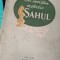 SA INVATAM METODIC SAHUL GH SERGIU