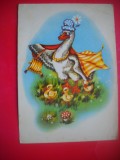 HOPCT 25022 RATUSCA CU BOBOCI -FELICITARE PASCALA / PASTE -CP VECHE -IP- ROMANIA - CIRCULATA