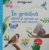 Carte In gradina. Plante si animale pe care le poti observa