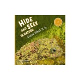 Hide and Seek in Nature: Guess What It Is