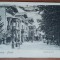 Carte postala, necirculata, Valcele Bai, inceput de secol XX