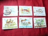 Serie mica Liban 1958 - Fauna , Pesti , 6 valori stampilate, Stampilat