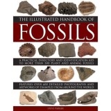 The Illustrated Handbook of Fossils