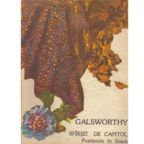 John Galsworthy - Sfarsit de capitol vol.2 - Pustietate in floare - 134083