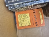 N. N. Tonitza vintage