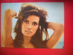 HOPCT 48171 RAQUEL WELCH -ACTORI SI ARTISTI CELEBRI-NECIRCULATA foto