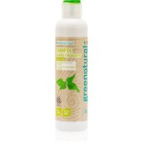 Greenatural Shampoo Linen &amp; Nettle Sampon pentru toate tipurile de par 250 ml
