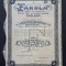 Actiune nominativa din 1938 societatea FAROLA , titlu , actiuni