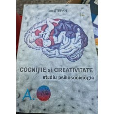 Ion Syefan - Cognitie si Creativitate