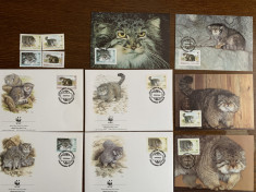 tajikistan - feline - serie 4 timbre MNH, 4 FDC, 4 maxime, fauna wwf foto