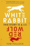 White Rabbit, Red Wolf | Tom Pollock, 2019, Walker Books