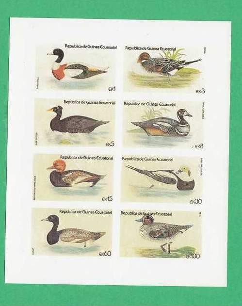 Eq. Guinea - Ducks - unused imperforated block F.010