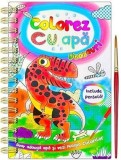 Colorez cu apa: Dinozauri + Pensula, Flamingo GD