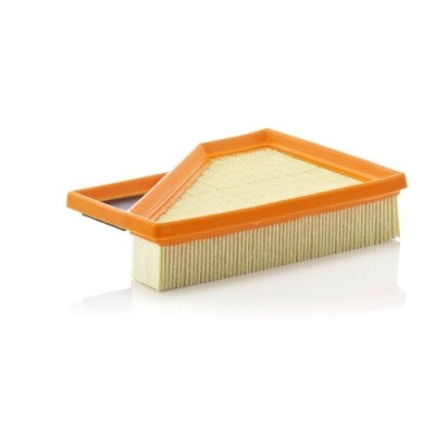 Filtru aer Mann-Filter C2245 foto