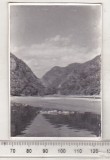 Bnk foto - Valea Oltului la Cozia - 1962, Alb-Negru, Romania de la 1950, Natura