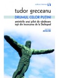 Drumul celor putini- Tudor Greceanu