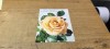 Carte Postala #A8007, Necirculata, Fotografie