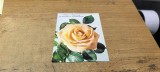 Cumpara ieftin Carte Postala #A8007