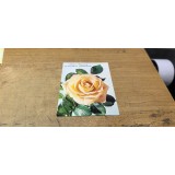 Carte Postala #A8007
