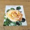 Carte Postala #A8007