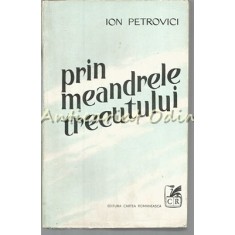 Prin Meandrele Trecutului - Ion Petrovici