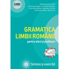 Gramatica limbii romane pentru elevi si profesori. Sinteze si exercitii - Adina Dragomirescu, Irina-Roxana Georgescu, Delia-Monica Georgescu, Raluca-D foto