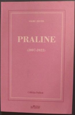 YIGRU ZELTIL - PRALINE (VERSURI, 2007-2022) foto