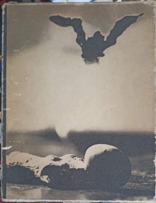 SCRIERI ALESE-E.A. POE-248631 foto