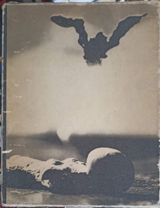 SCRIERI ALESE-E.A. POE-248631
