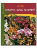 Orhideele - minuni multicolore | Lutz Rollke, 2019, Casa