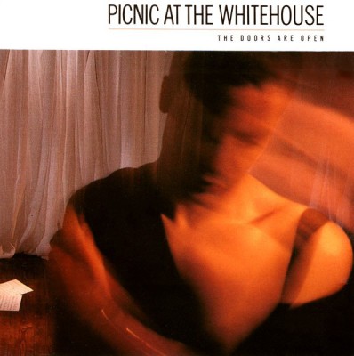 Vinil Picnic At The Whitehouse &amp;lrm;&amp;ndash; The Doors Are Open (VG++) foto