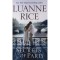 Secrets of Paris - Luanne Rice