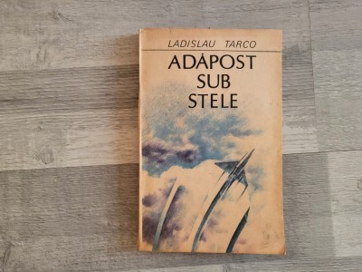 Adapost sub stele de Ladislau Tarco foto