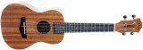 Set ukulele Arrow MH10 Mahogany Concert