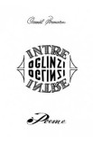 Intre oglinzi - Camil Poenaru