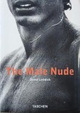 The Male Nude - David Leddick