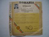 Autorizatie executie si comercializare de bunuri de larg consum lemn, 1991, Romania de la 1950, Documente